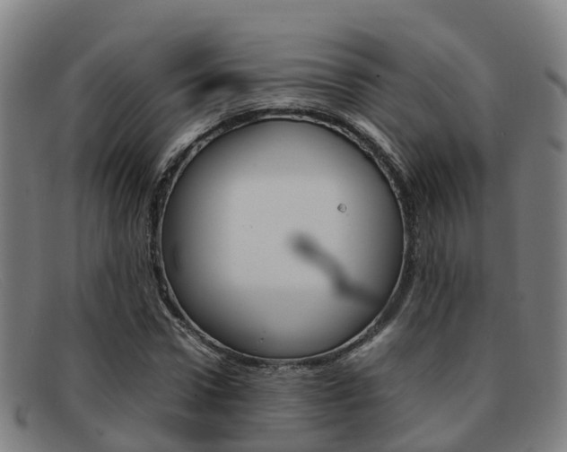 X0000092070922200709121023