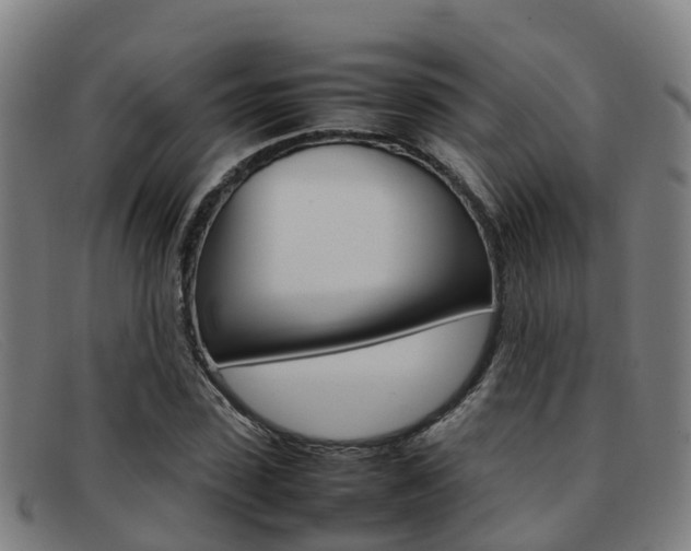 X0000092070923200709121023
