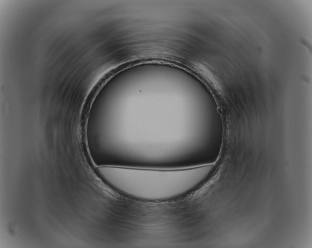 X0000092070924200709121023