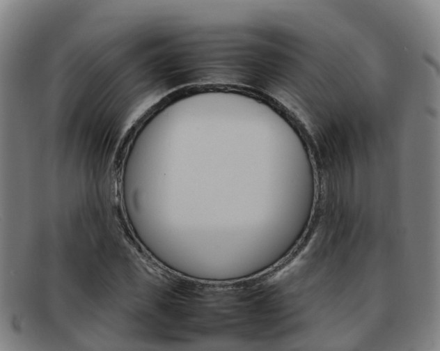 X0000092070925200709121023