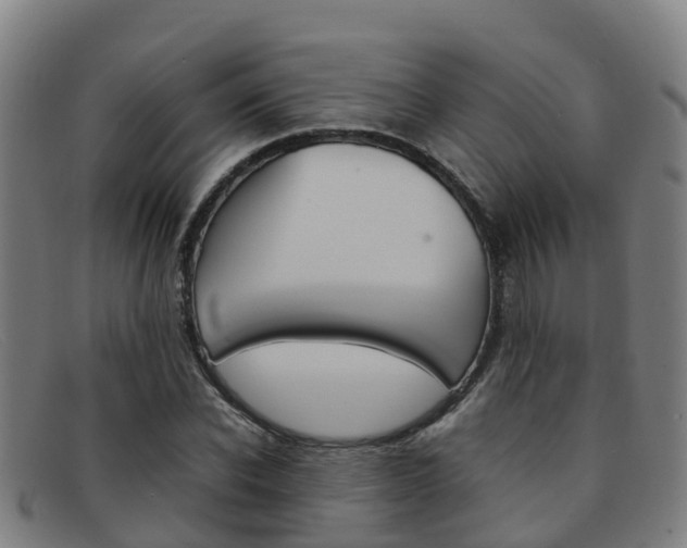 X0000092070926200709121023