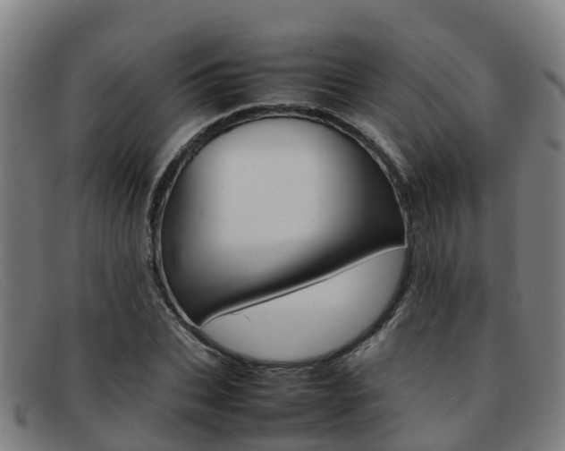 X0000092070927200709121023