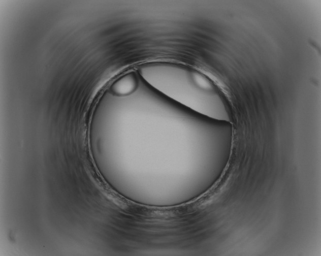X0000092070933200709121023