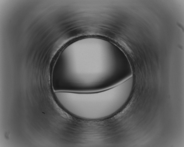 X0000092070934200709121023