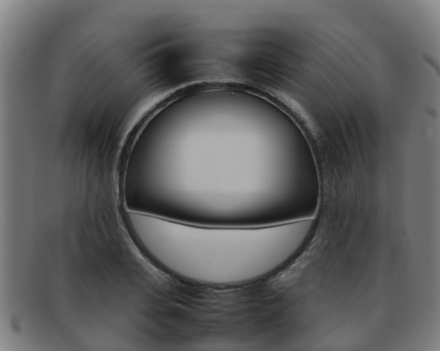 X0000092070935200709121023