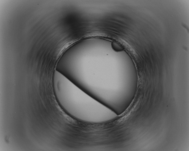 X0000092070937200709121023