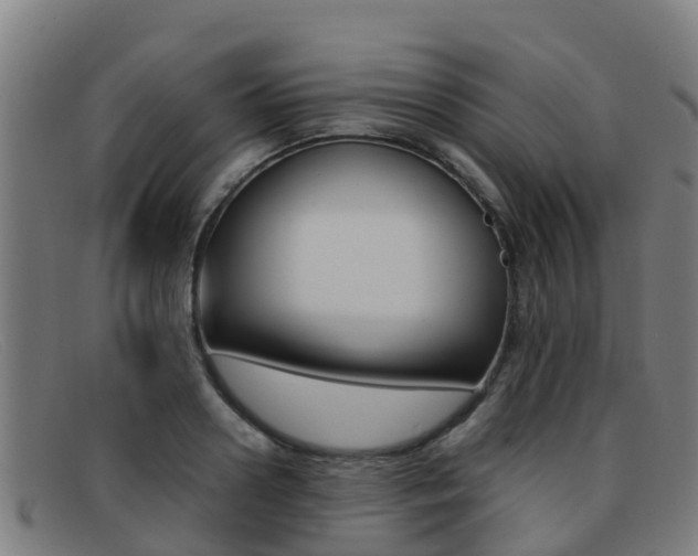 X0000092070938200709121023