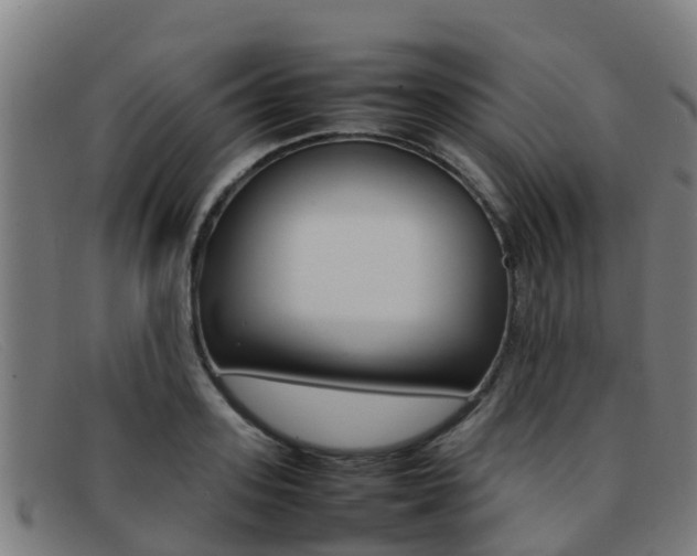 X0000092070939200709121023