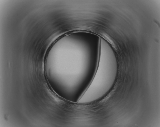 X0000092070940200709121023