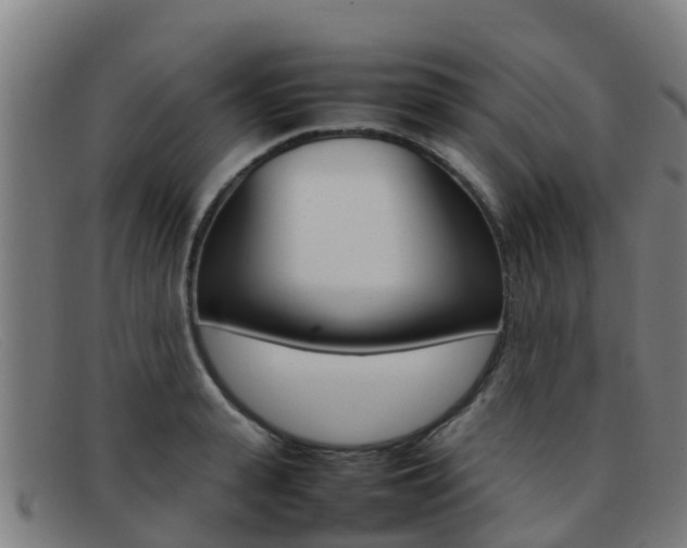 X0000092070943200709121023