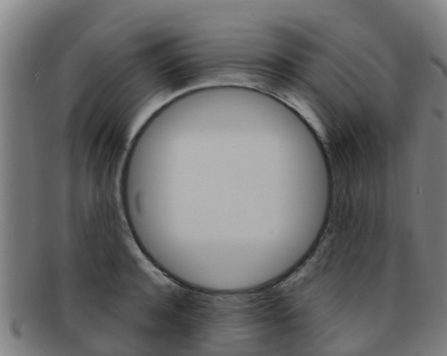 X0000092070944200709121023