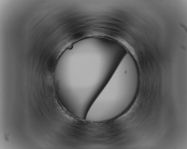 X0000092070945200709121023