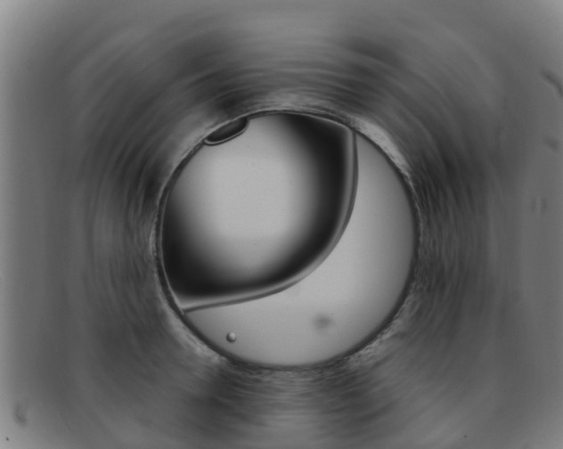 X0000092070946200709121023