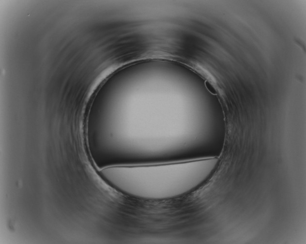 X0000092070947200709121023