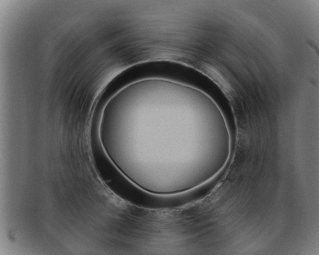 X0000092070948200709121023