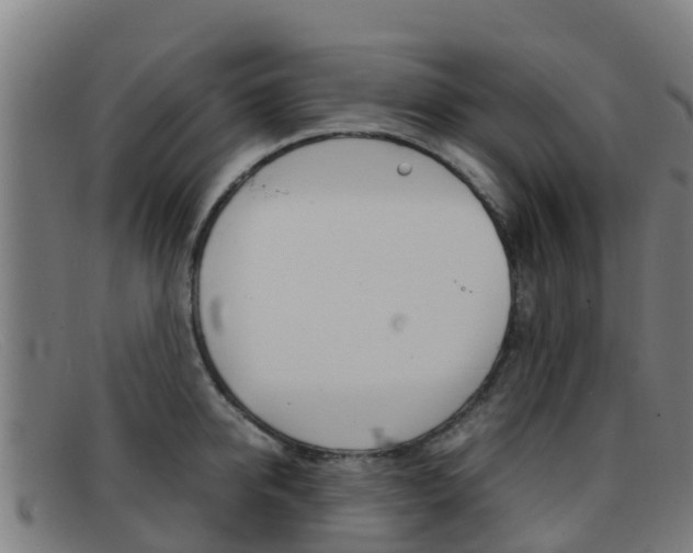 X0000092070950200709121023