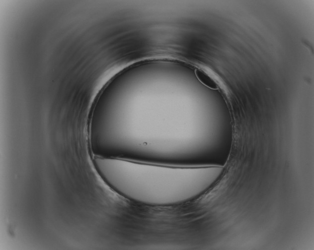 X0000092070951200709121023