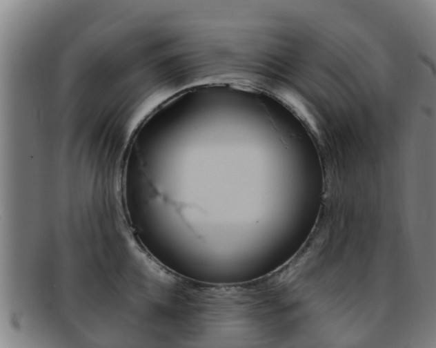 X0000092070952200709121023