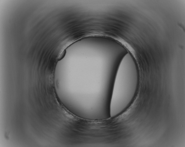 X0000092070953200709121023