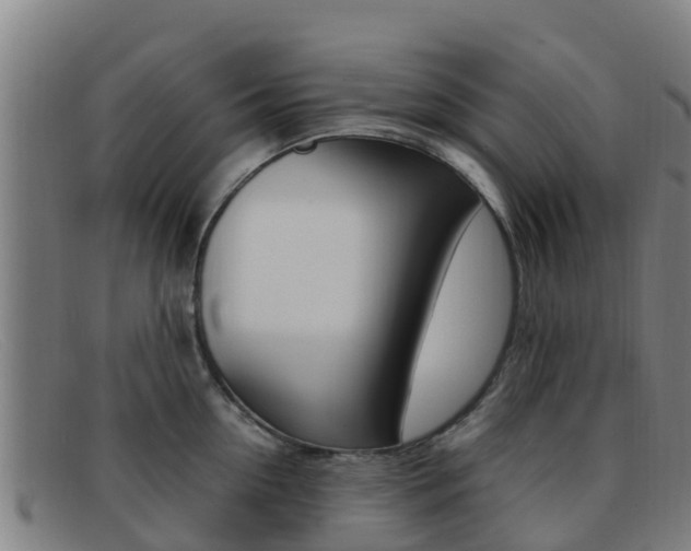 X0000092070954200709121023