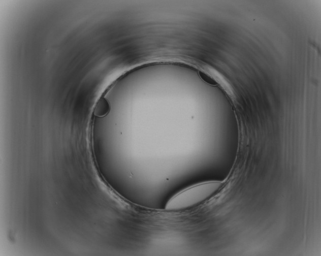 X0000092070958200709121023