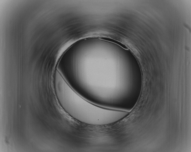 X0000092070960200709121023