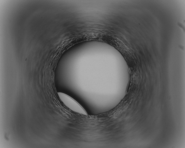 X0000092070961200709121023