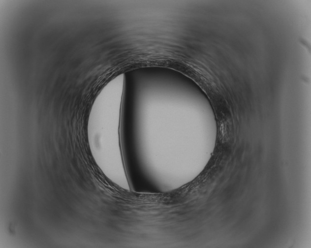 X0000092070963200709121023