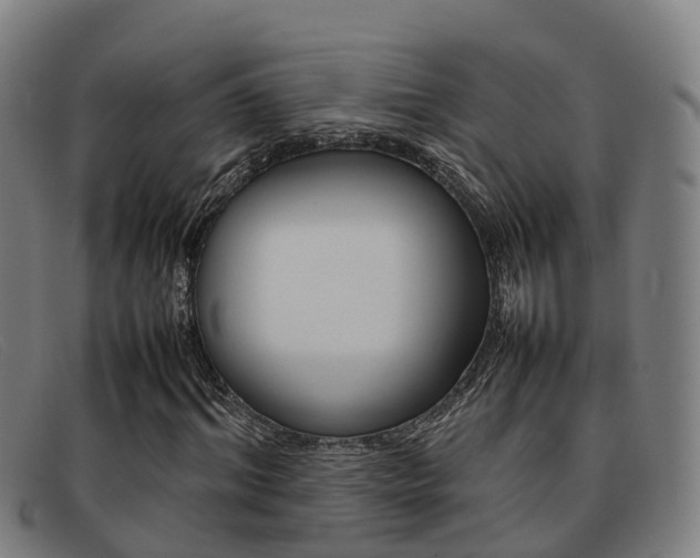 X0000092070964200709121023