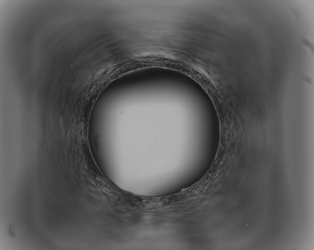 X0000092070965200709121022