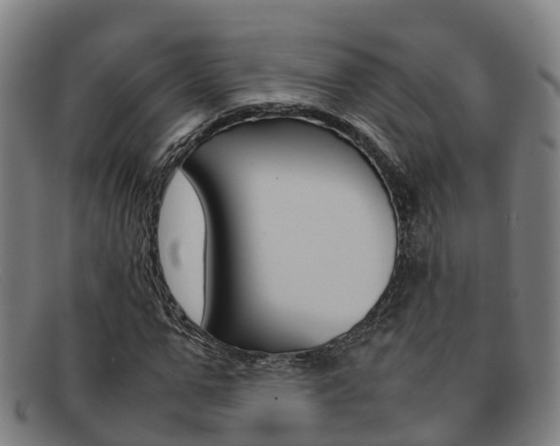 X0000092070967200709121022