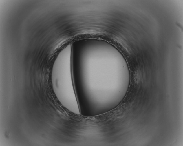 X0000092070968200709121022