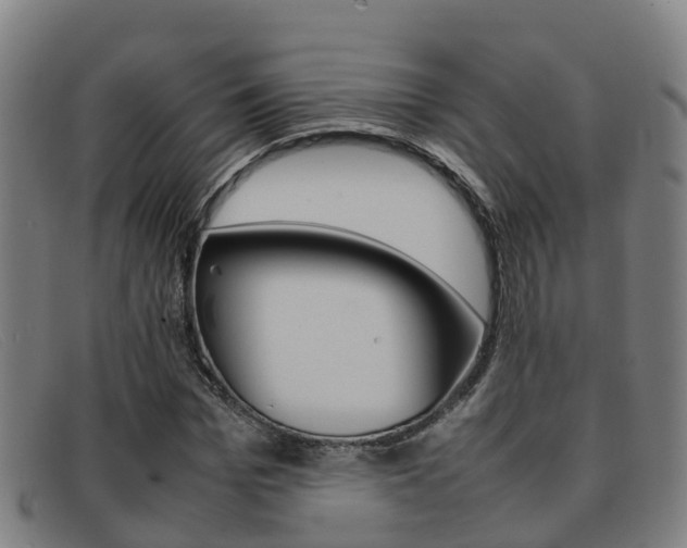 X0000092070969200709121022