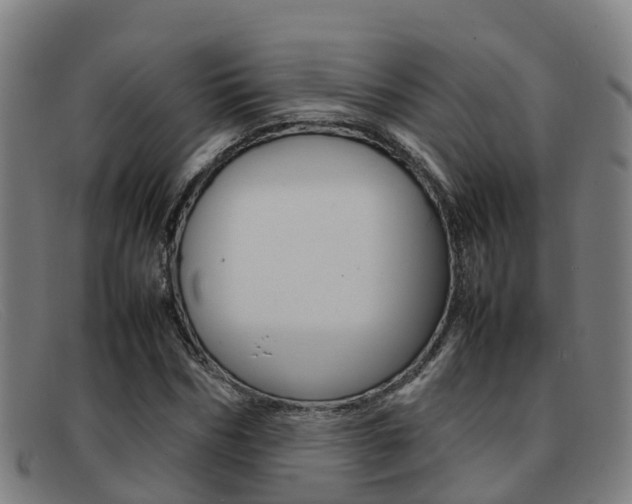 X0000092070970200709121022