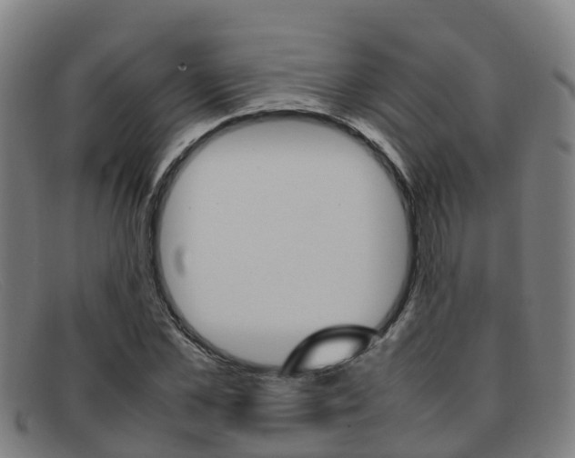 X0000092070973200709121022