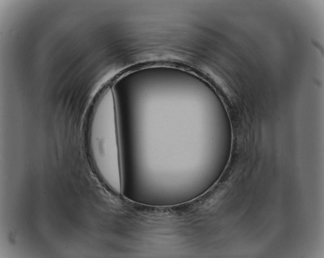 X0000092070975200709121022