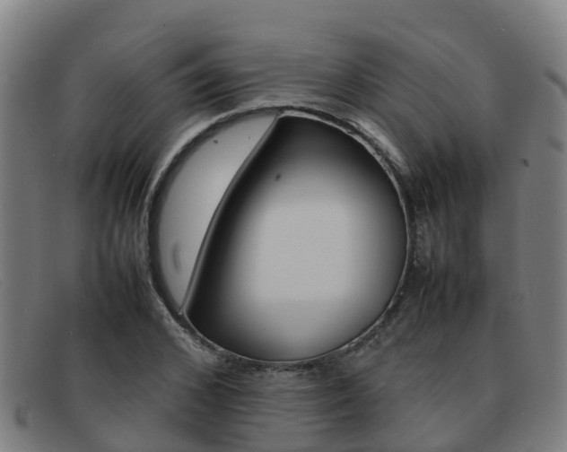 X0000092070976200709121022