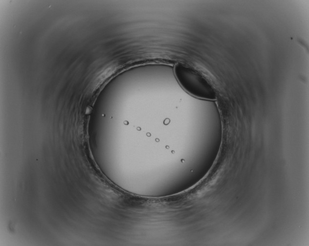 X0000092070977200709121022