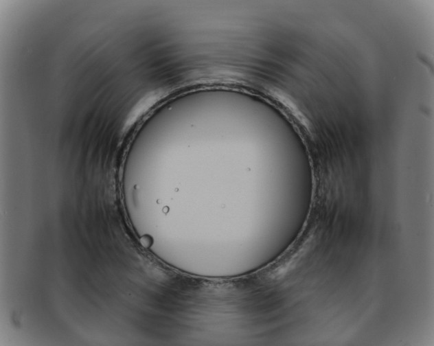 X0000092070978200709121022