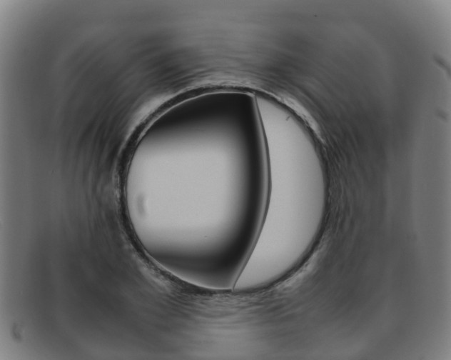 X0000092070981200709121022