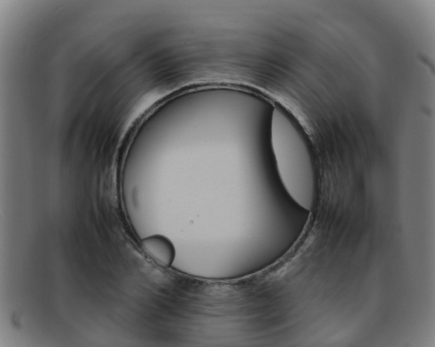 X0000092070982200709121022