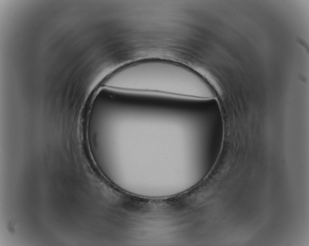 X0000092070983200709121022