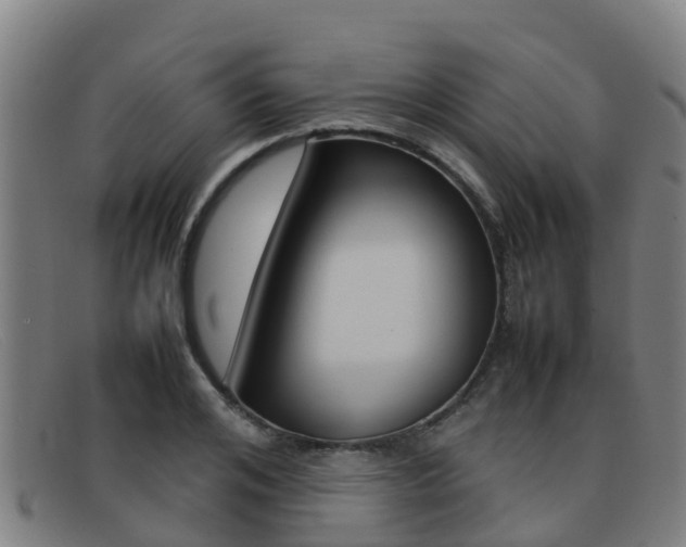 X0000092070984200709121022
