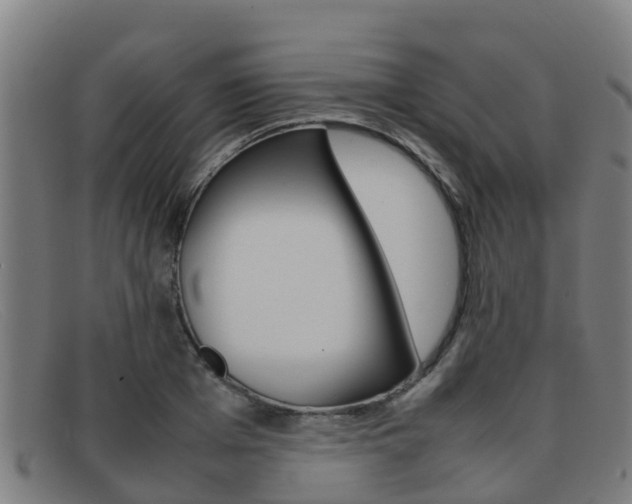 X0000092070985200709121022