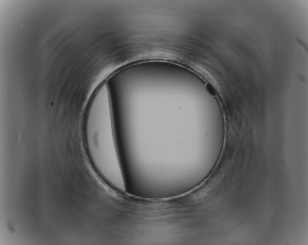 X0000092070989200709121022