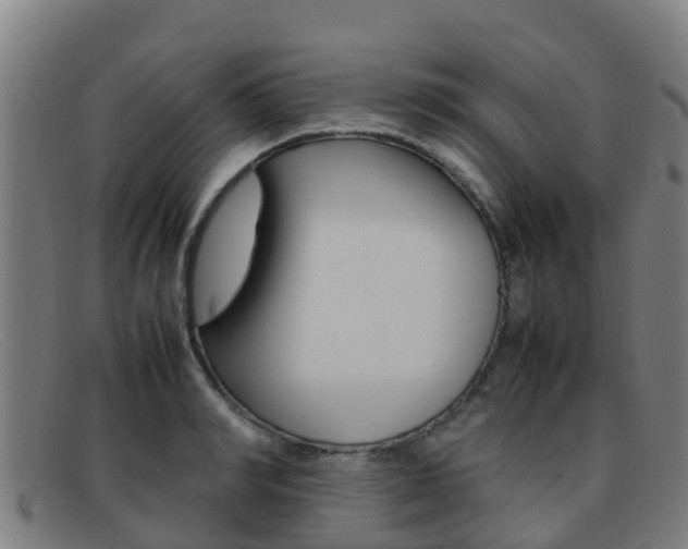 X0000092070990200709121022