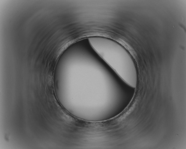 X0000092070993200709121022