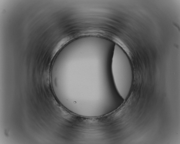 X0000092070994200709121022
