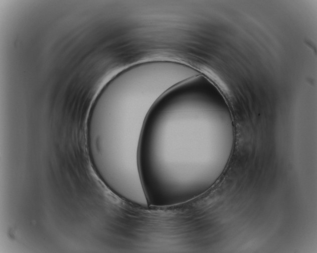 X0000092070996200709121022