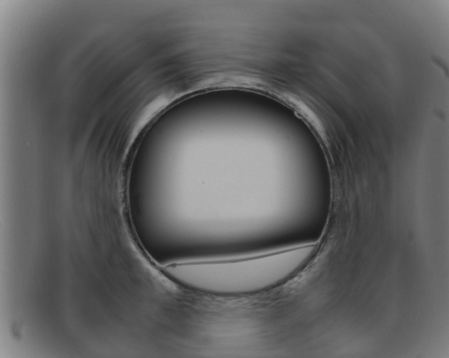 X0000092070997200709121022